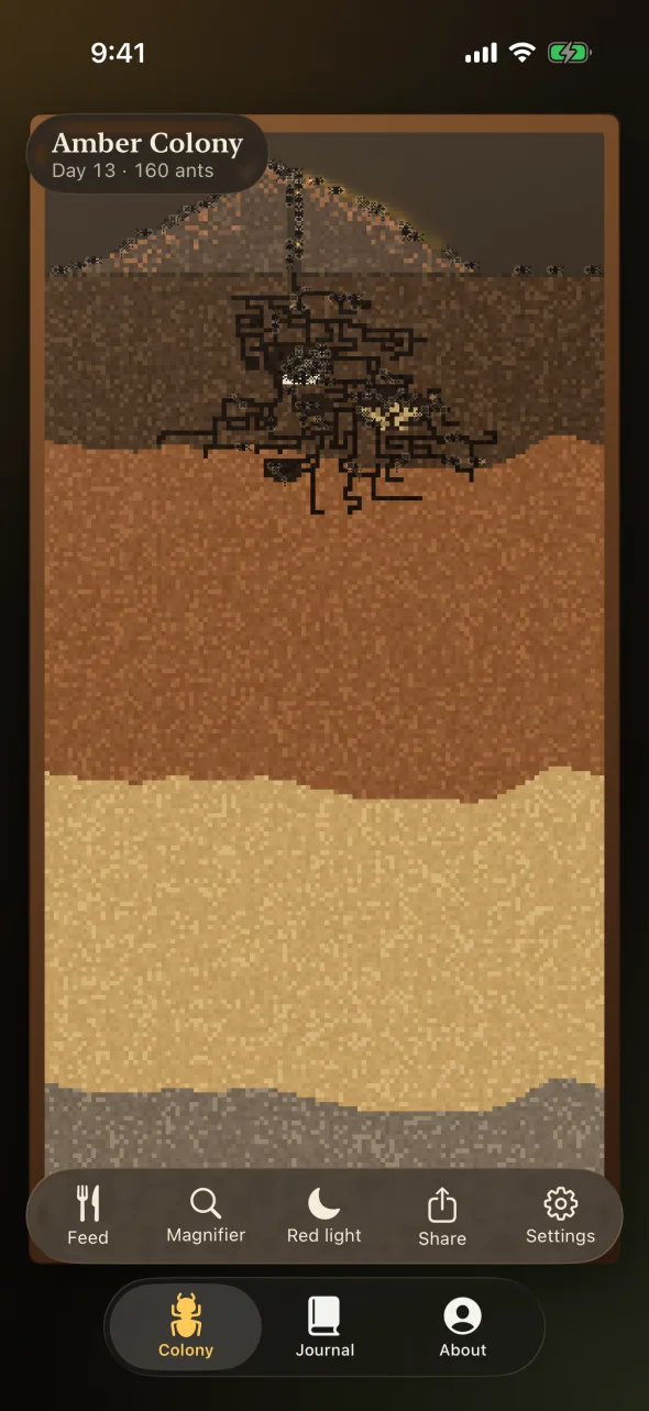 Glass Colony on iPhone: the Amber Colony on day 13 with 160 ants, tunnels dug under the mound, and the Feed, Magnifier, Red light, Share and Settings controls